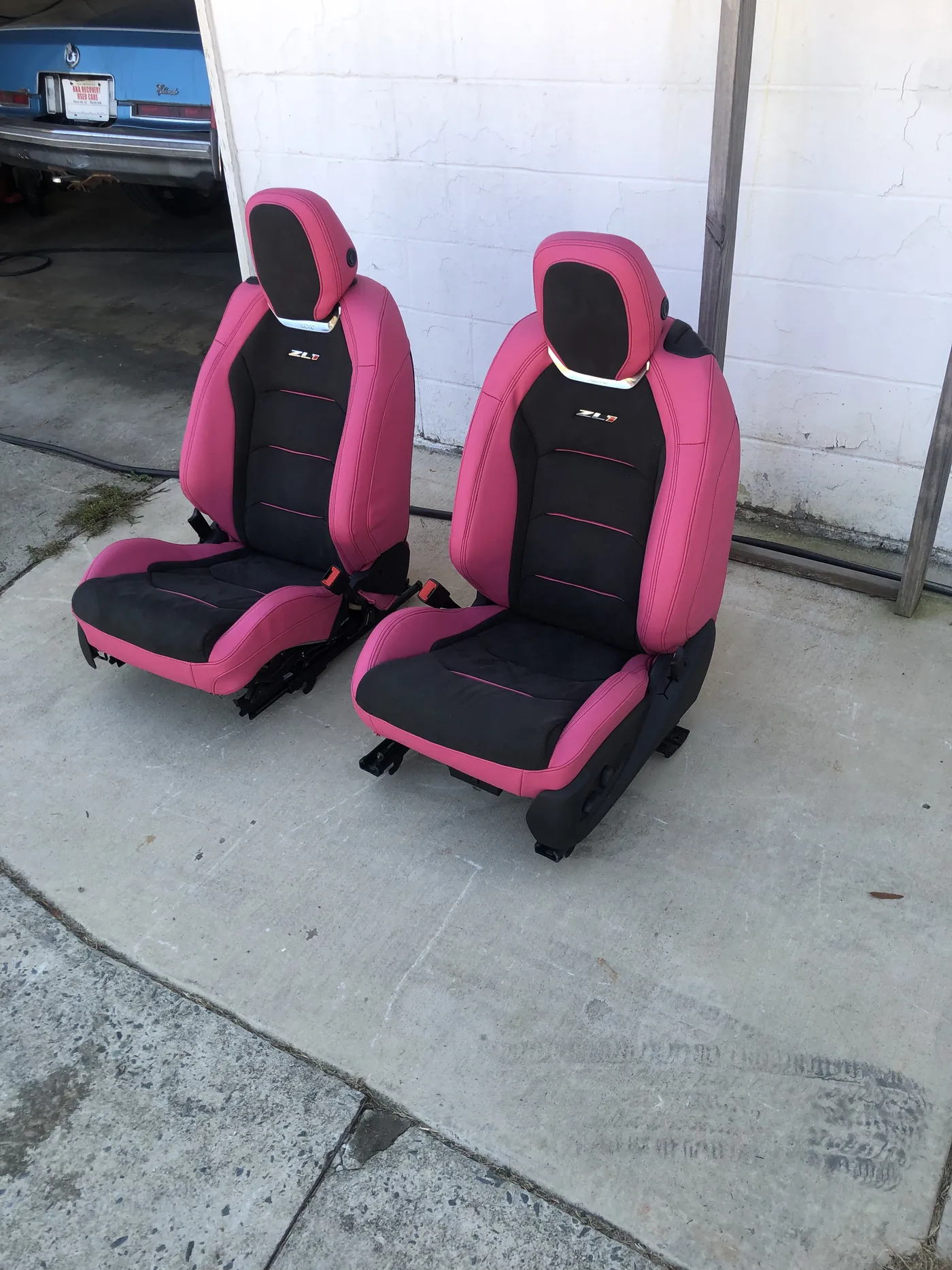 Black and magenta bucket seats